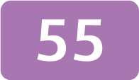 55