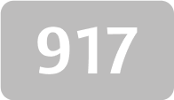 917