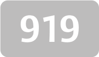 919