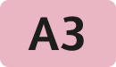A3