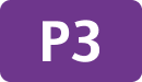 P3