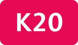 K20
