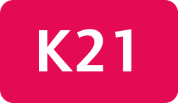 K21