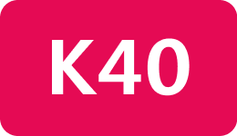 K40