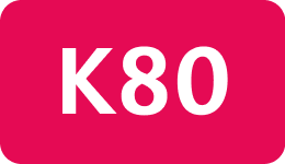K80