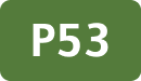 P53