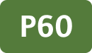 P60