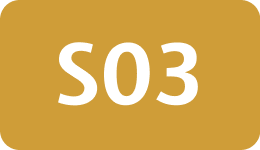 S03