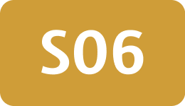 S06